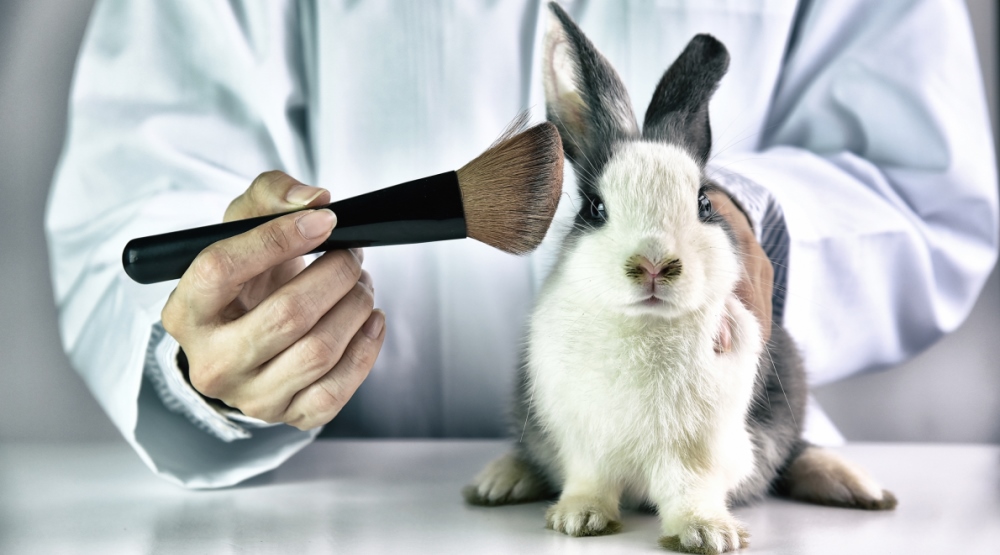 China approves animal testing alternatives professional beauty